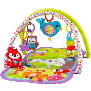Fisher-Price baby play mat/gym